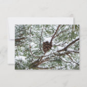 Snowy Pine Cone II Winter Natuur Fotografie (Voorkant)