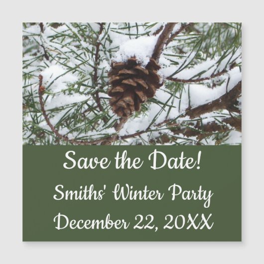 Snowy Pine Cone II Winter Natuur Fotografie (Voorkant)