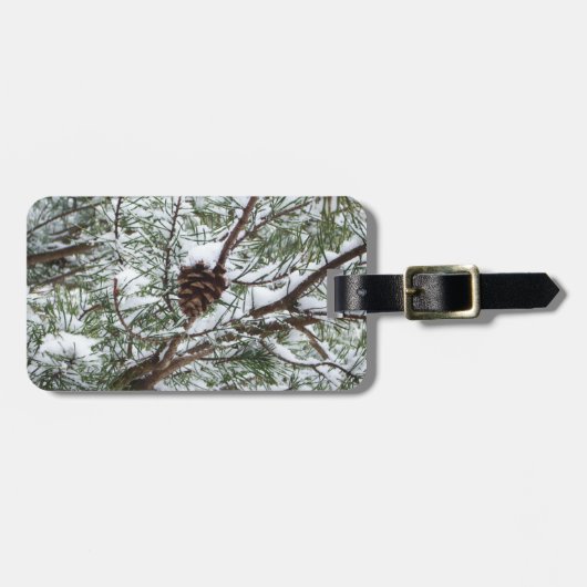 Snowy Pine Cone II Winter Natuur Fotografie Bagagelabel (Voorkant horizontaal)