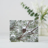 Snowy Pine Cone II Winter Natuur Fotografie Briefkaart (Staand voorkant)