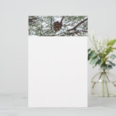 Snowy Pine Cone II Winter Natuur Fotografie Briefpapier (Staand voorkant)