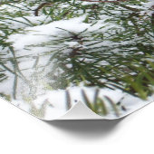 Snowy Pine Cone II Winter Natuur Fotografie Foto Afdruk (Hoek)