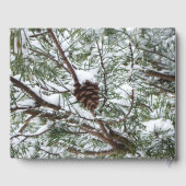 Snowy Pine Cone II Winter Natuur Fotografie Gastenboek (Achterkant)