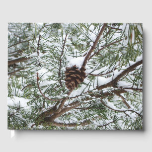 Snowy Pine Cone II Winter Natuur Fotografie Gastenboek