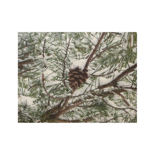 Snowy Pine Cone II Winter Natuur Fotografie Houten Poster (Voorkant)