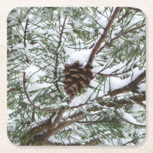 Snowy Pine Cone II Winter Natuur Fotografie Kartonnen Onderzetters