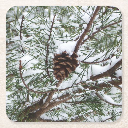 Snowy Pine Cone II Winter Natuur Fotografie Kartonnen Onderzetters (Voorkant)
