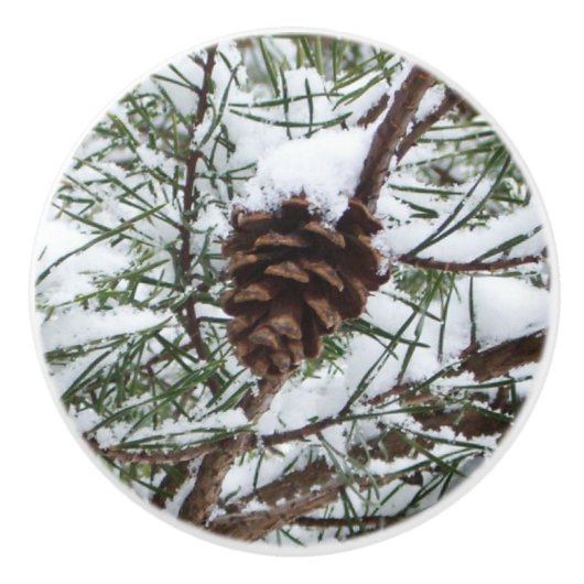 Snowy Pine Cone II Winter Natuur Fotografie Keramische Knop (Voorkant)