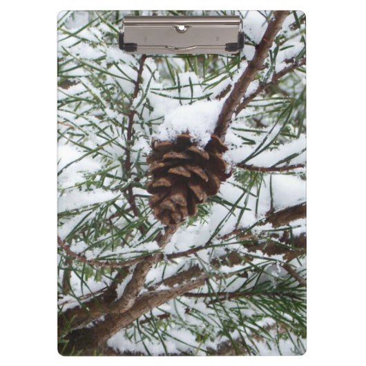 Snowy Pine Cone II Winter Natuur Fotografie Klembord (Voorkant)
