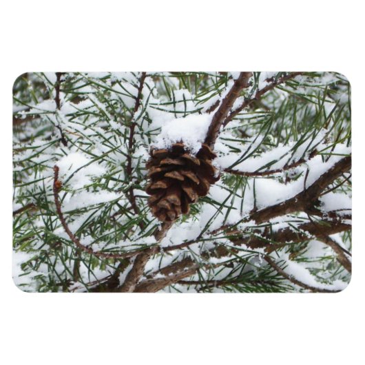 Snowy Pine Cone II Winter Natuur Fotografie Magneet (Horizontaal)