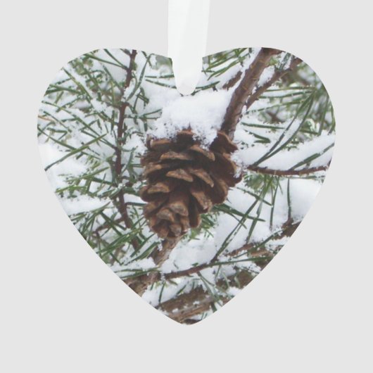 Snowy Pine Cone II Winter Natuur Fotografie Ornament (achterkant)