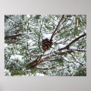 Snowy Pine Cone II Winter Natuur Fotografie Poster