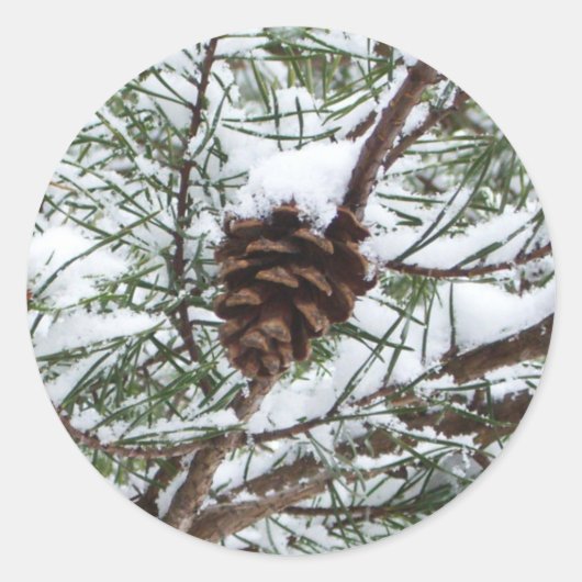 Snowy Pine Cone II Winter Natuur Fotografie Ronde Sticker (Voorkant)