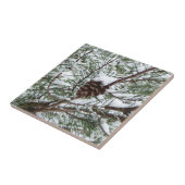 Snowy Pine Cone II Winter Natuur Fotografie Tegeltje (Zijkant)