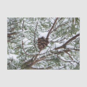 Snowy Pine Cone II Winter Natuur Fotografie Tissuepapier