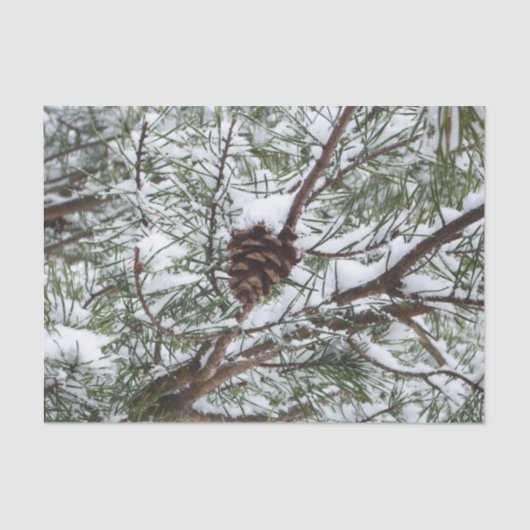 Snowy Pine Cone II Winter Natuur Fotografie Tissuepapier (Voorkant)