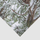 Snowy Pine Cone II Winter Natuur Fotografie Tissuepapier (Detail)