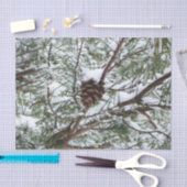 Snowy Pine Cone II Winter Natuur Fotografie Tissuepapier (Craft)