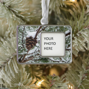 Snowy Pine Cone II Winter Natuur Fotografie Verzilverd Omlijst Ornament