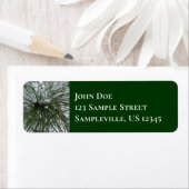 Snowy Pine Needles Winter Natuur Etiket (Insitu)