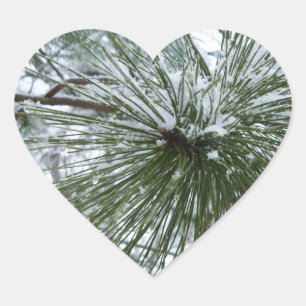 Snowy Pine Needles Winter Natuur Hart Sticker