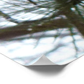 Snowy Pine Needles Winter Natuur Poster (Hoek)
