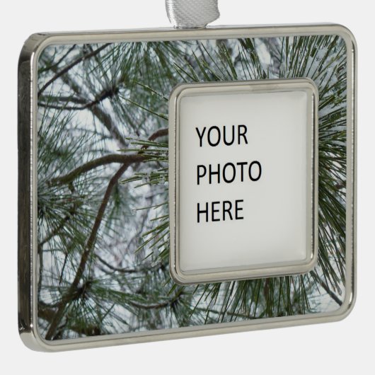 Snowy Pine Needles Winter Natuur Verzilverd Omlijst Ornament (Rechts)