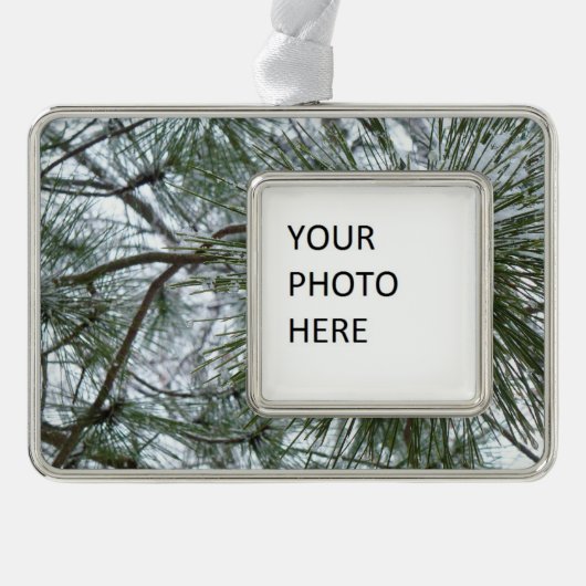 Snowy Pine Needles Winter Natuur Verzilverd Omlijst Ornament (Voorkant)