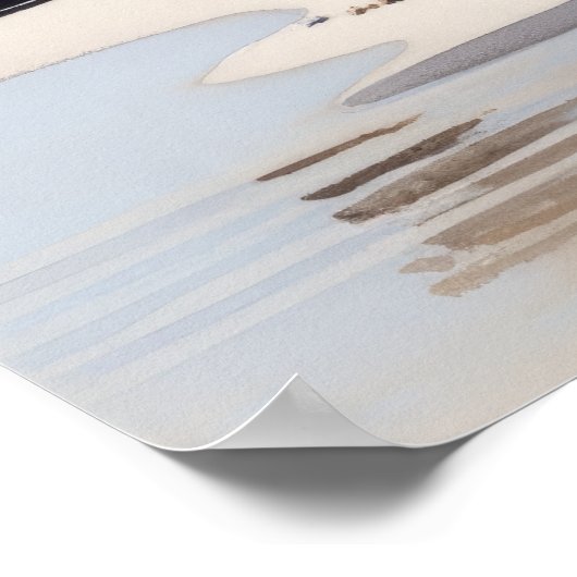 Snowy Plover Bird Art Print Poster (Hoek)