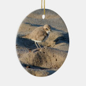 Snowy Plover Keramisch Ornament (Rechts)