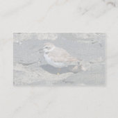 Snowy plover visitekaartje (Achterkant)