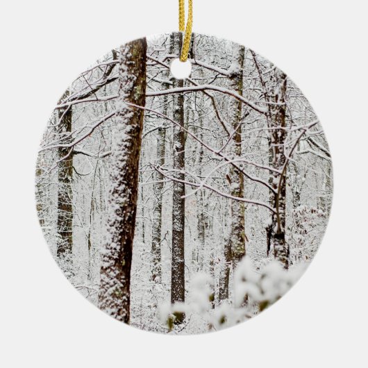 Snowy Pocono Wonderland Keramisch Ornament (Voorkant)