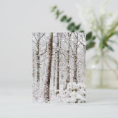 Snowy Pocono Woodlands Briefkaart (Staand voorkant)