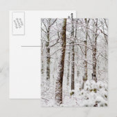 Snowy Pocono Woodlands Briefkaart (Voorkant / Achterkant)