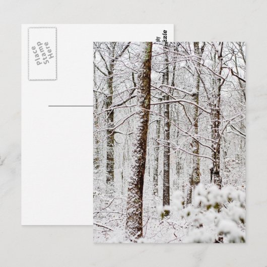 Snowy Pocono Woodlands Briefkaart (Voorkant / Achterkant)