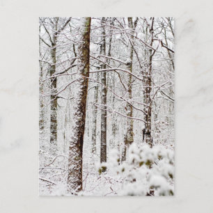 Snowy Pocono Woodlands Briefkaart