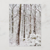 Snowy Pocono Woodlands Briefkaart (Voorkant)
