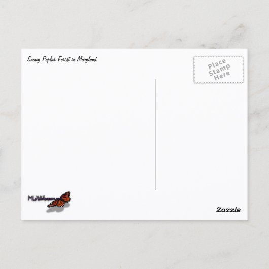 Snowy Poplar Forest I Briefkaart (Achterkant)