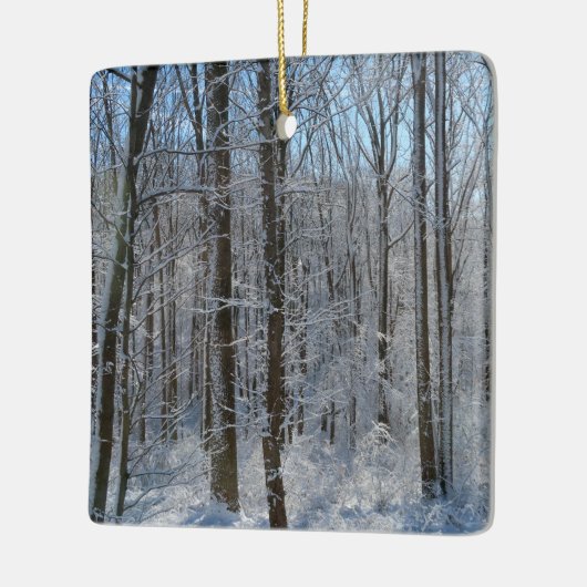 Snowy Poplar Forest I Keramisch Ornament (Links)