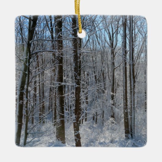 Snowy Poplar Forest I Keramisch Ornament (Voorkant)
