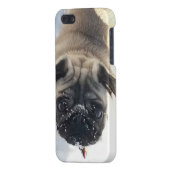 Snowy Pug iPhone 5/5s glanzend hoesje iPhone Hoesje (Achterkant Links)