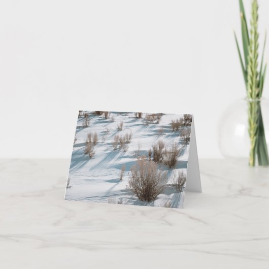 Snowy Rabbitbrush - 4" x 5.6" Notecard Bedankkaart (Voorkant)