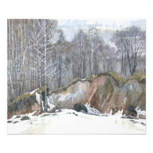 Snowy ravine foto afdruk