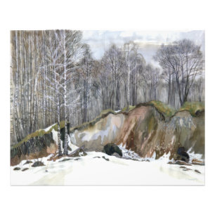 Snowy ravine foto afdruk