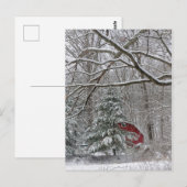 Snowy Red Barn Briefkaart (Voorkant / Achterkant)