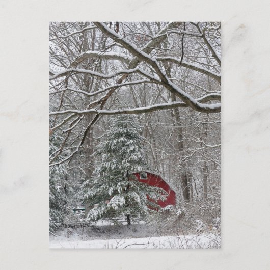 Snowy Red Barn Briefkaart (Voorkant)
