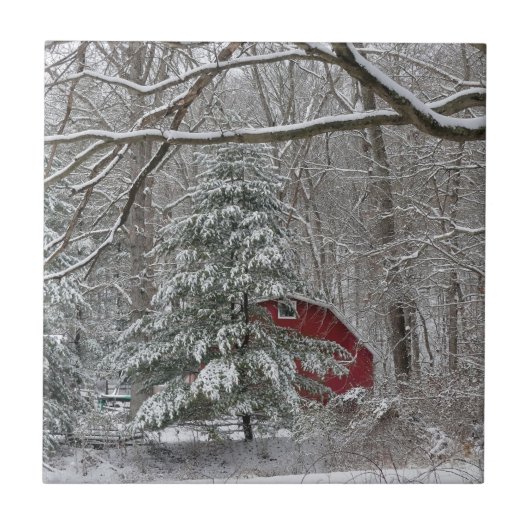 Snowy Red Barn Tegeltje (Voorkant)