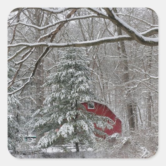 Snowy Red Barn Vierkante Sticker (Voorkant)
