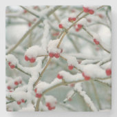 Snowy Red Berries Winter Scene Stenen Onderzetter (Voorkant)