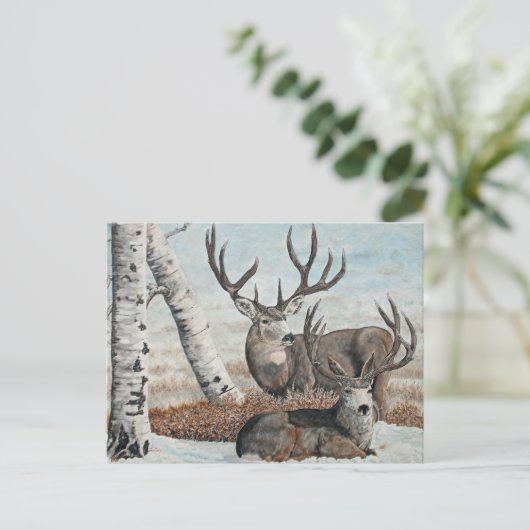 Snowy ridge bucks briefkaart (Staand voorkant)